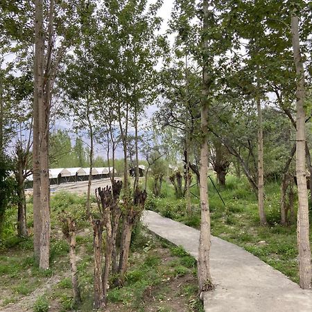 Ladakh Mountian Escape Camp By Lexstays Leh Eksteriør bilde