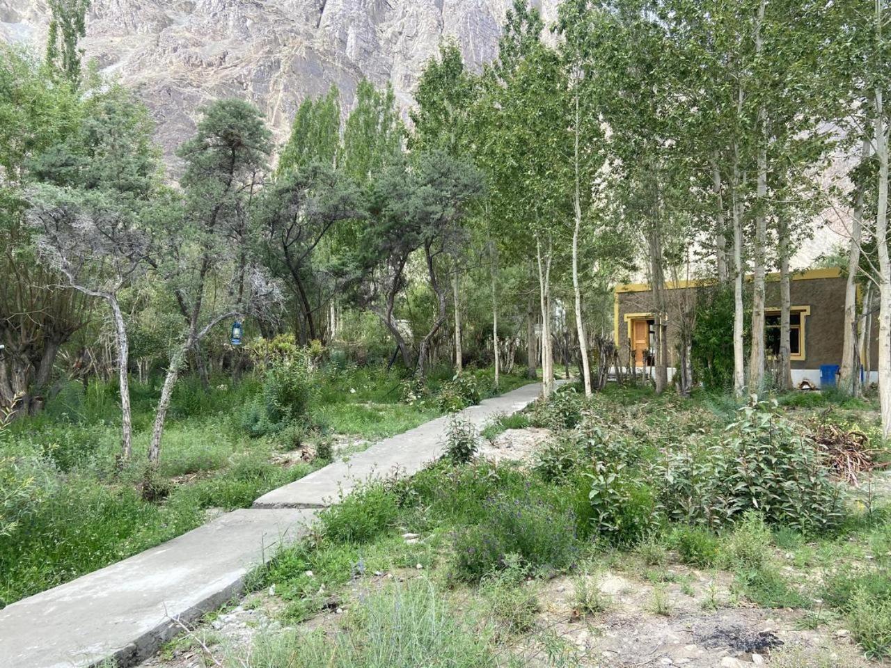 Ladakh Mountian Escape Camp By Lexstays Leh Eksteriør bilde