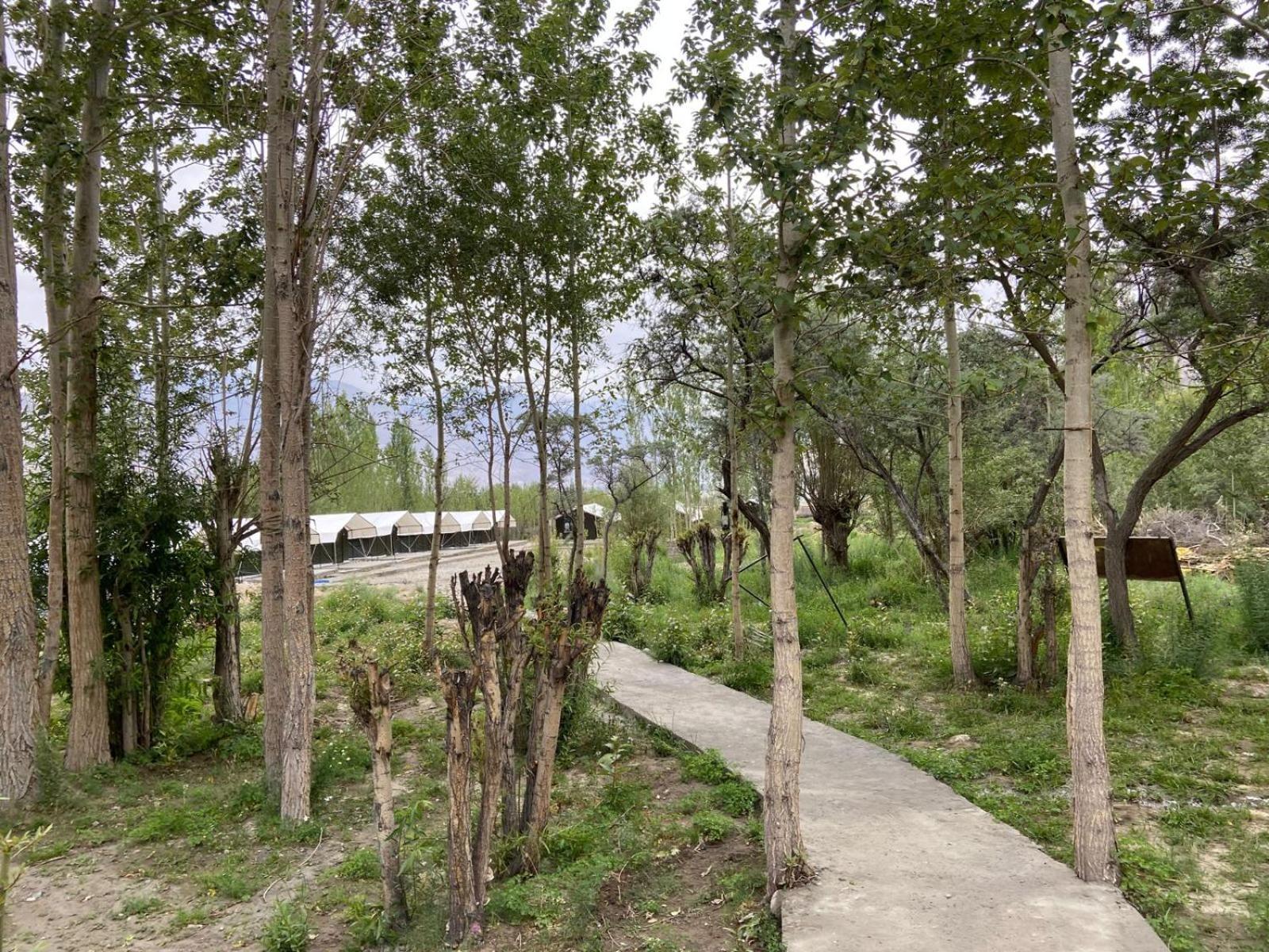 Ladakh Mountian Escape Camp By Lexstays Leh Eksteriør bilde